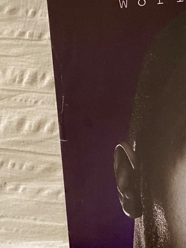 The Rock 2000 Poster WWF World Wrestling Federation Dwayne Johnson Funky N