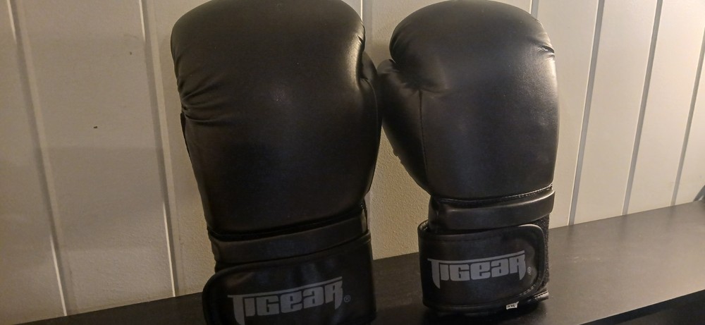 Boxing Gloves 12 oz