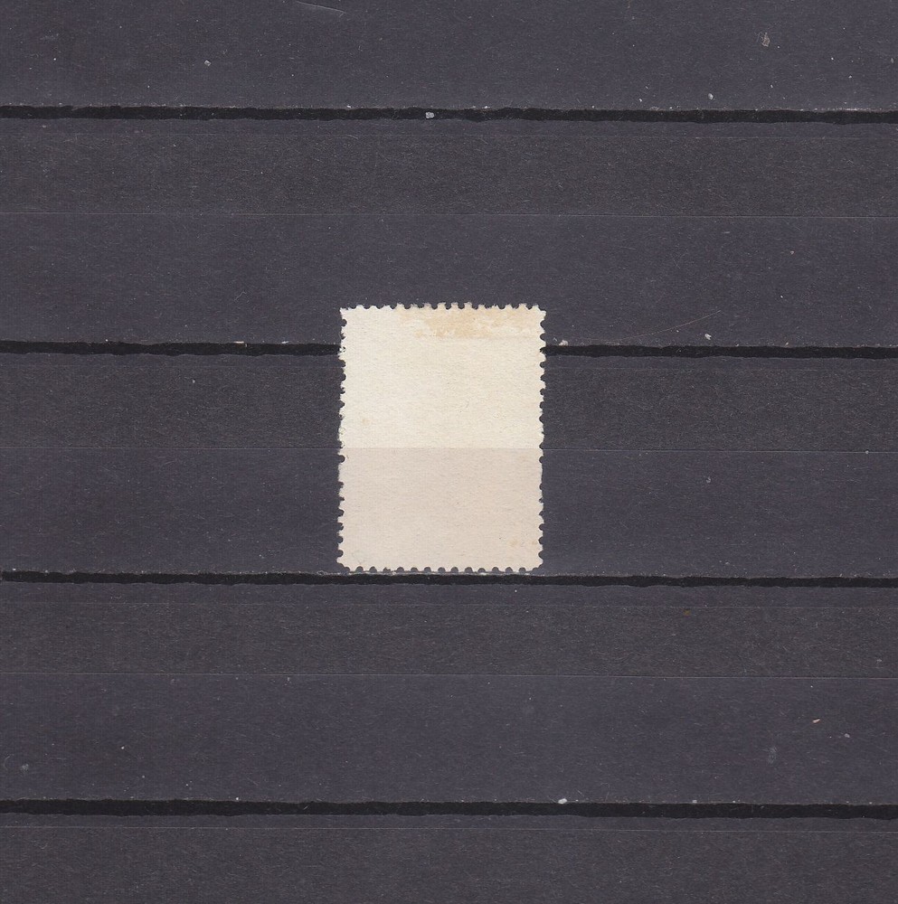 Zemstvo Russia local Cherdyn 1894 Sch 11 MNG