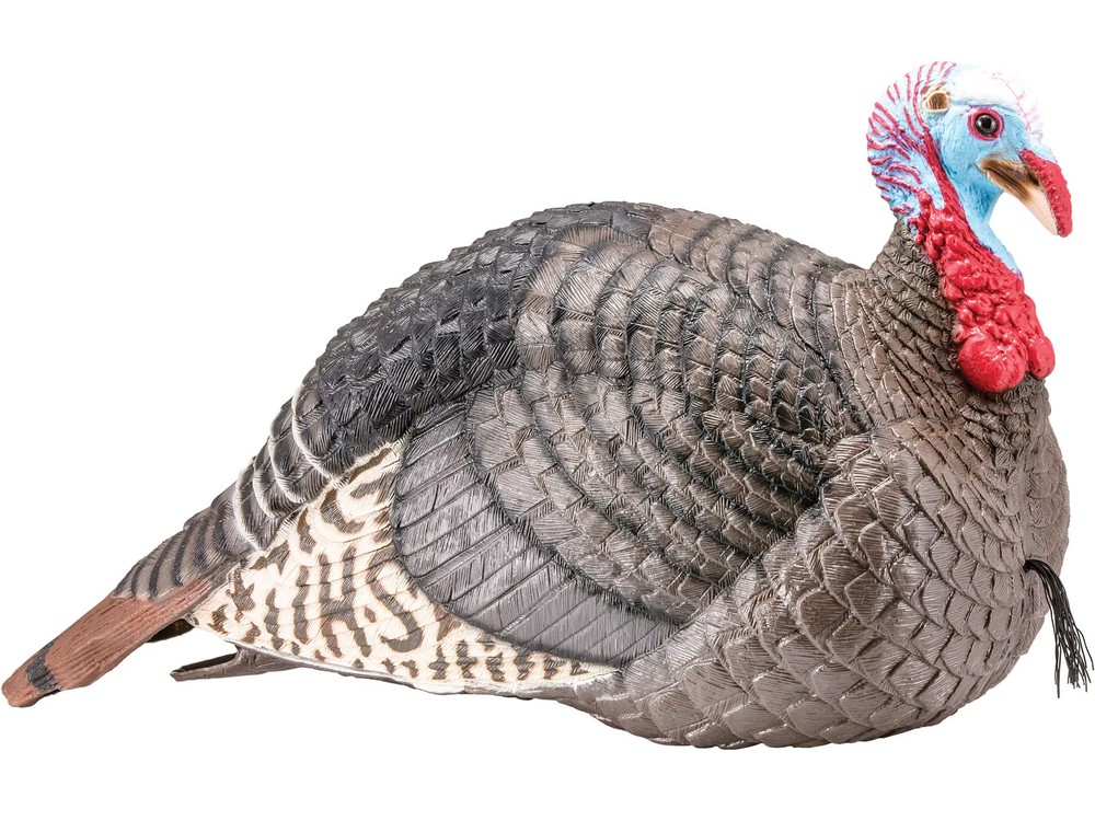 HS Strut Strut-Lite Jake Turkey Decoy