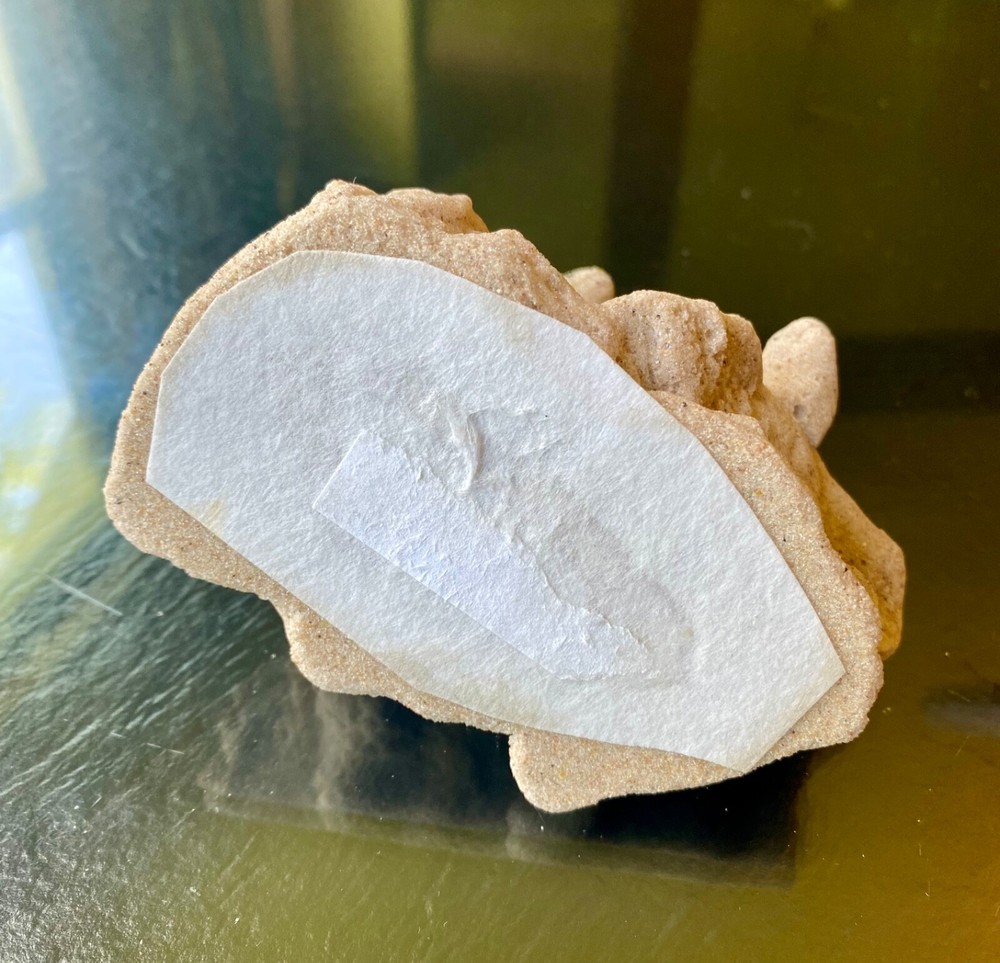 Sparkling Sandstone Turtles Sculpture Figurine
