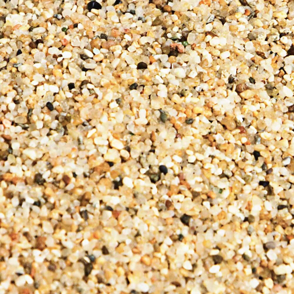 Silica Sand - Safe for Carnivorous Plants!