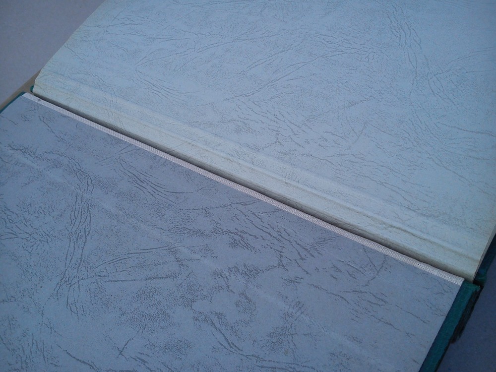 Stanley Gibbons Springback New Age Stamp Album Folder Binder Storage Green EMPTY