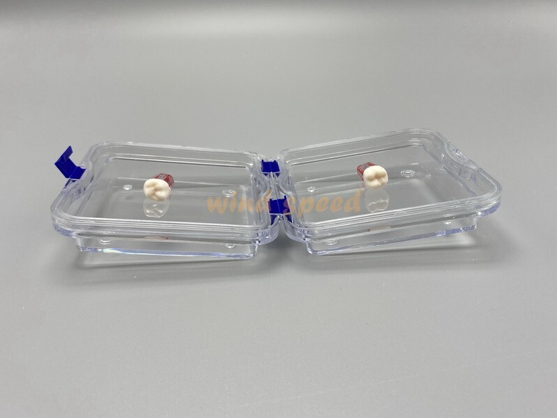 10PCS Denture False Teeth Membrane Container Hinged Jewelry Display Box Case