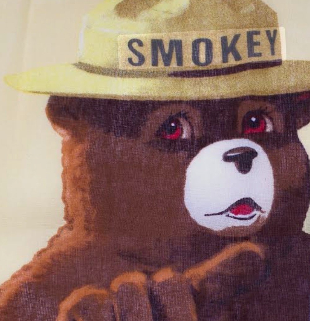 Smokey The Bear Vintage Bandana Scarf Handkerchief Prevent Forrest Wildfires