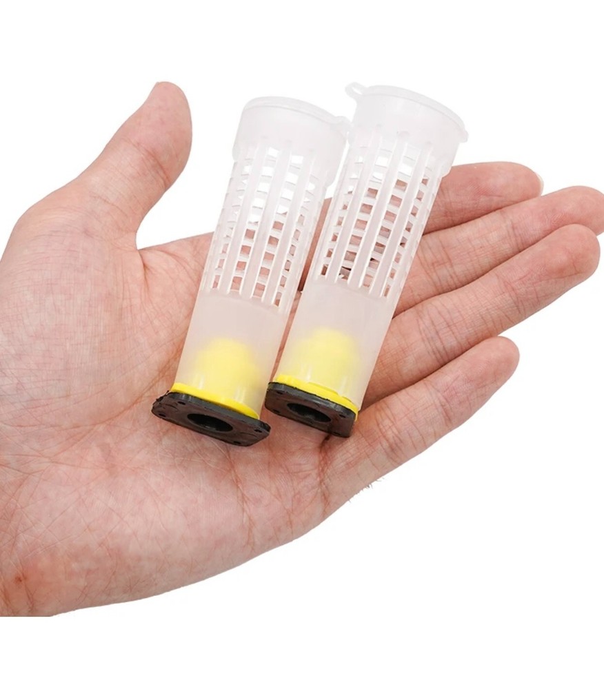 Beehive queen Rearing kit