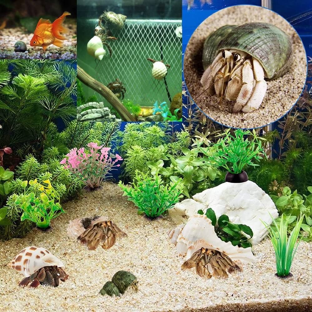 QEQEKAKA 15PCS Hermit Crab Shells (7 Types) Natural 15pcs 7types