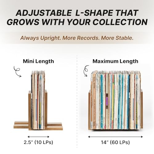 Adjustable Vinyl Record Holder to Keep Records Upright, Holds 20–60 LPs, Solid