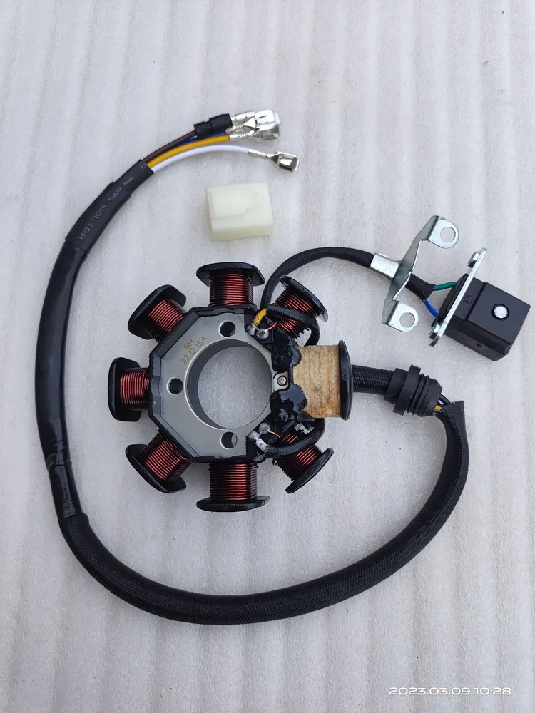 RPS Hawk 250 Carb Base Model Stator Magneto Assembly (#11 in Diagram)