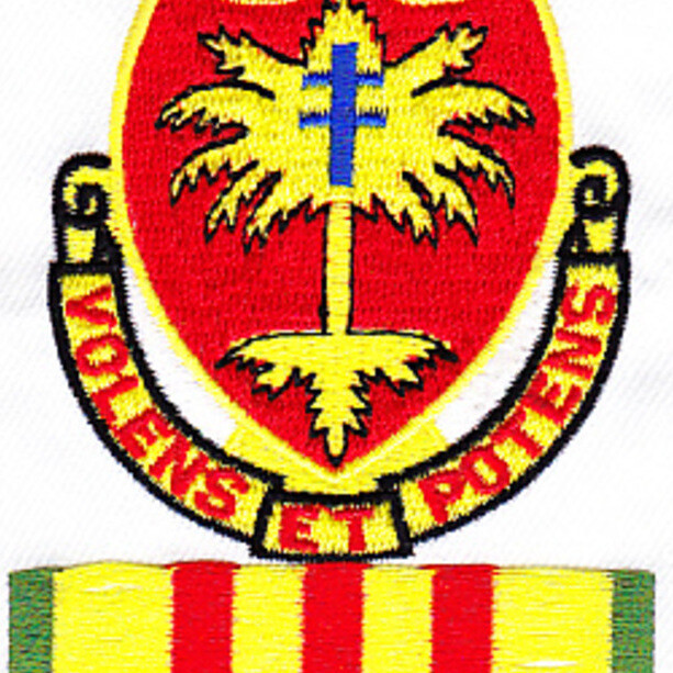 320th Airborne Field Artillery Battalion Patch Vietnam