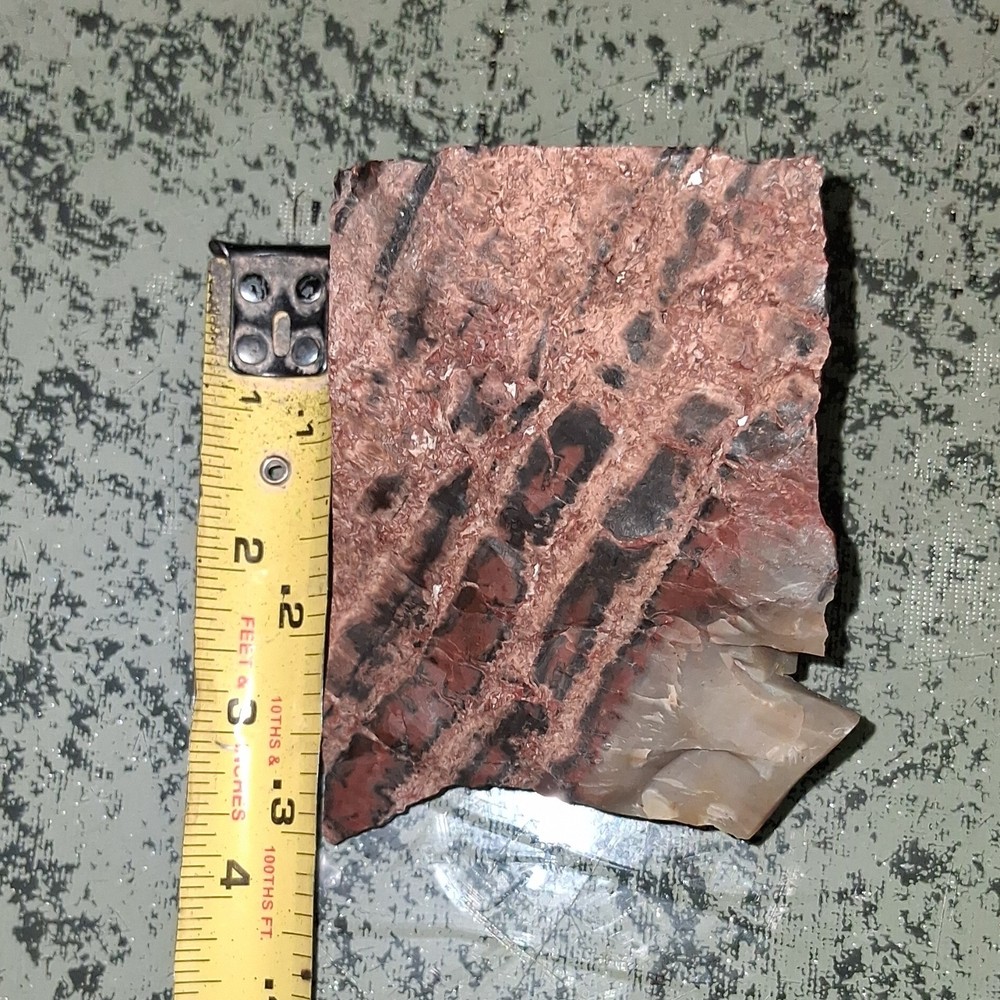 Rainbow Petrified Wood  2x2 Arizona