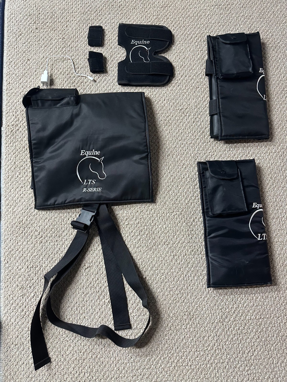 Equine LTS R-Serie Mini Pro, LED Light Therapy