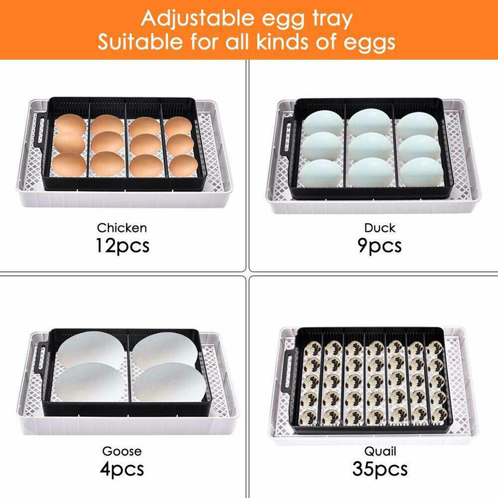12 Eggs Incubator Incubators Hatching Eggs For Chicken Quail Poultry Hatching