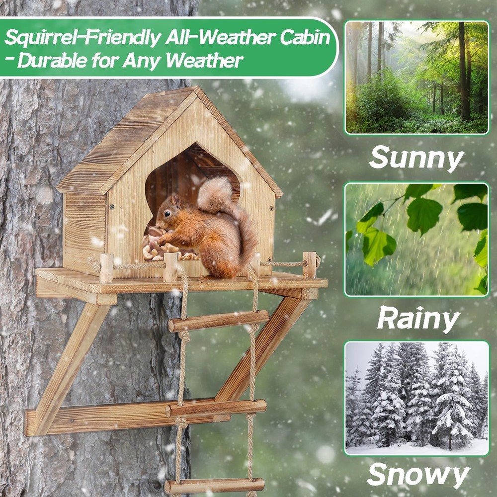 Funny Squirrel Feeder, Ladder, Wall, Tree Mount, Backyard Garden Decoration