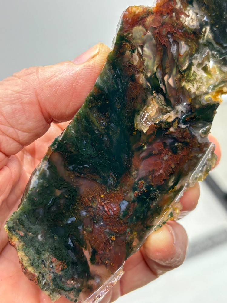 Oregon Moss Agate Slab Cabbing Lapidary Carving Combo Ship Avail