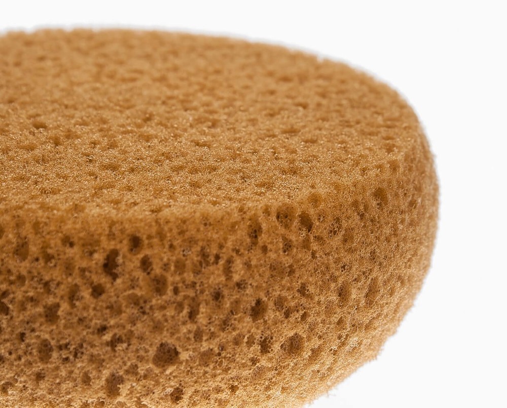 Hydra Honeycomb Form Tack Sponges, each