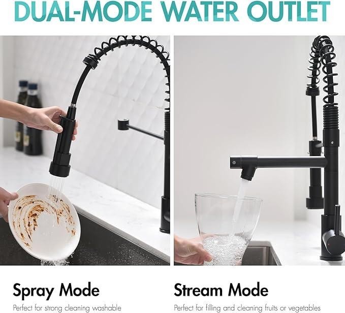 Kitchen Faucet Kit 2-Function Pull Down Sprayer Pot Filler w/Spring Spout