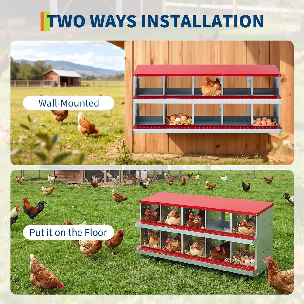 10 Holes Chicken Nesting Boxes Wall-Mount Roll Away Chicken Egg Laying Box