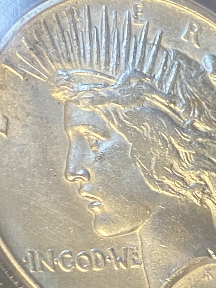 1921 Silver Peace $1 Dollar ~ ANACS Graded MS 60