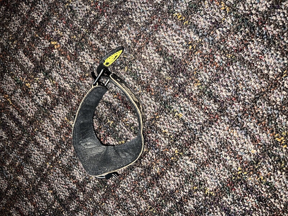 Bear Paradox Compound Bow