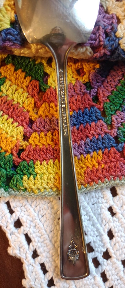 Jelly Server Spoon, Gailstyne New England Minute Rosebud Silverplate