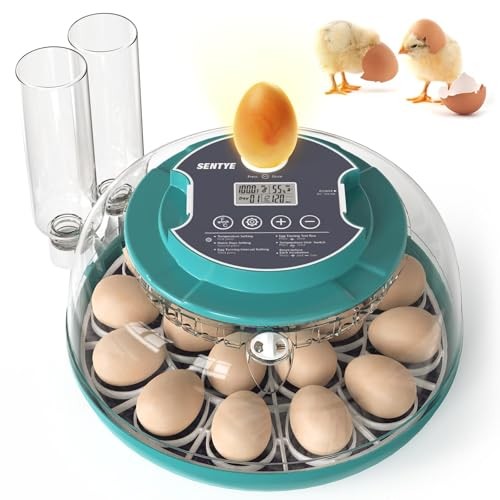 Automatic Egg Hatcher with LED Screen, Large Egg Incubator with Adjustable
