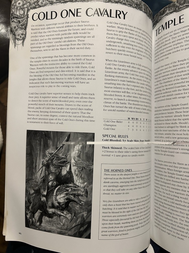 Warhammer Lizardmen Book