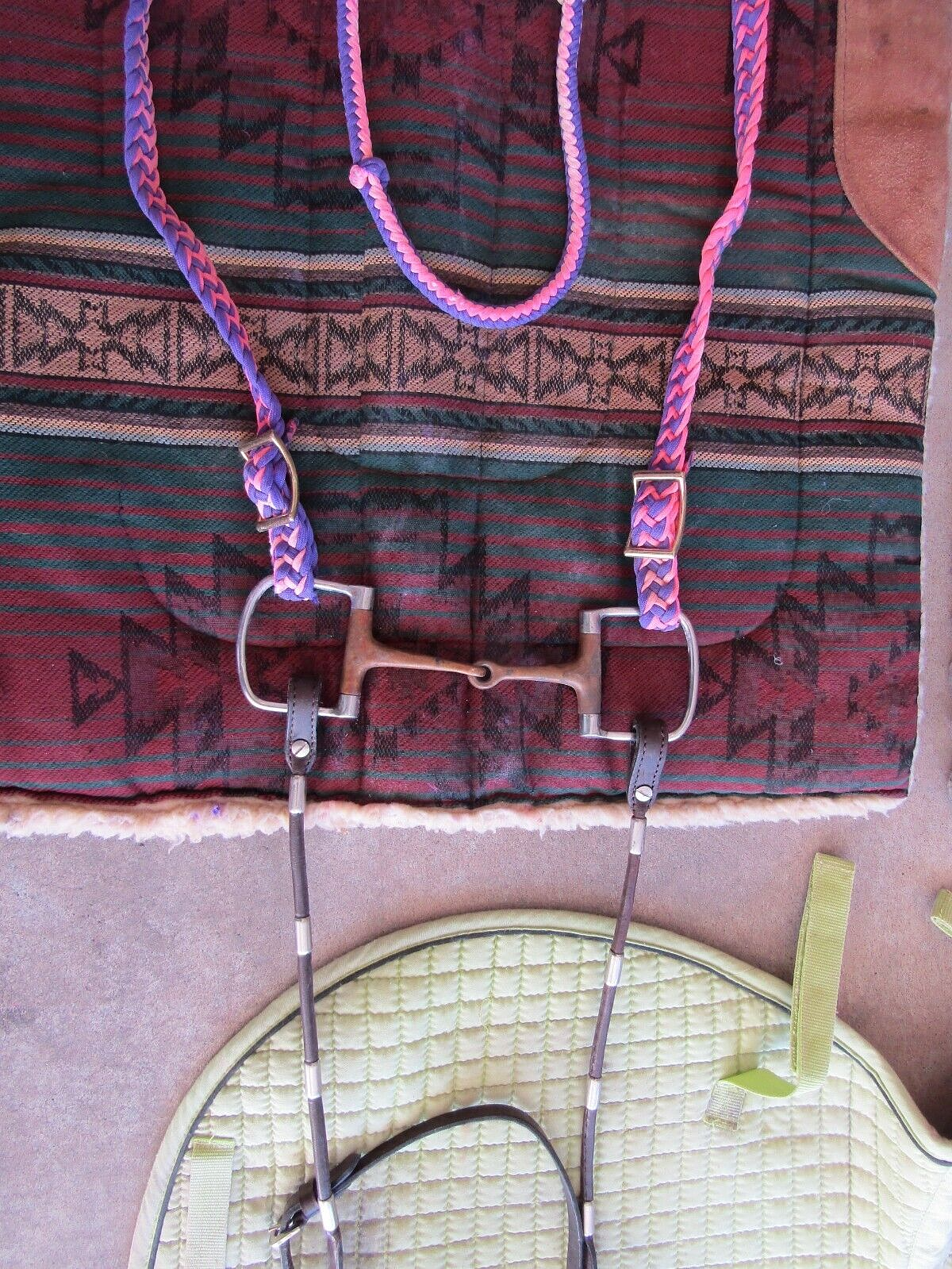 Horse riding and care equipment large lot !