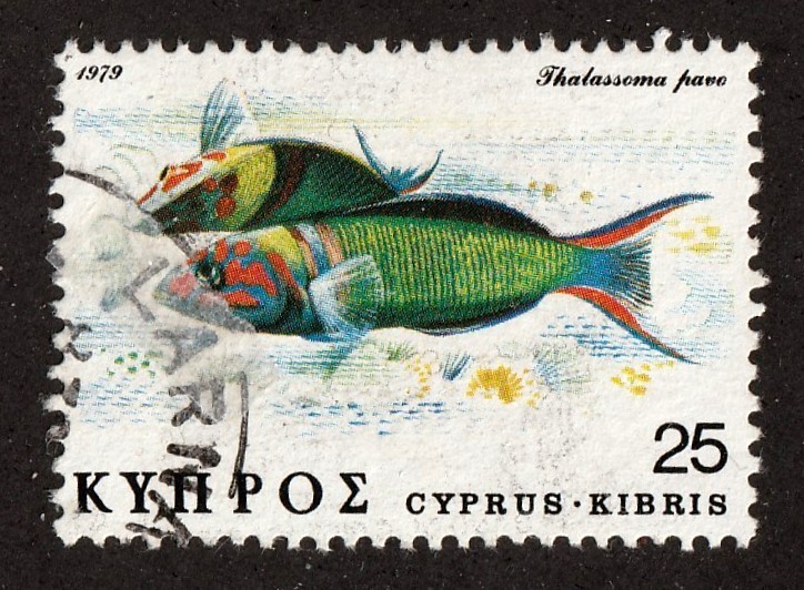 Cyprus         516          used