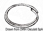 OSCULATI SS Split Ring 18x1.2 mm