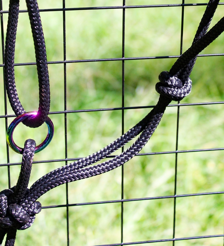 Sliding Ring Rope Halter W/ Rainbow Plated Ring