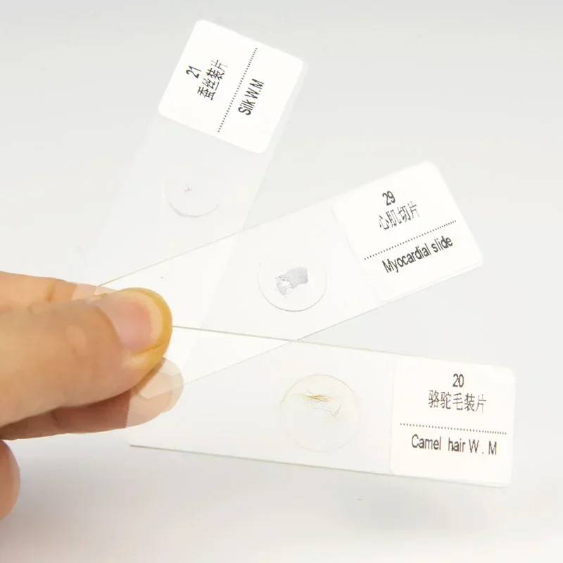 30PC Prepared Biological Basic Tissues Science Cover Slips Microscope Slides