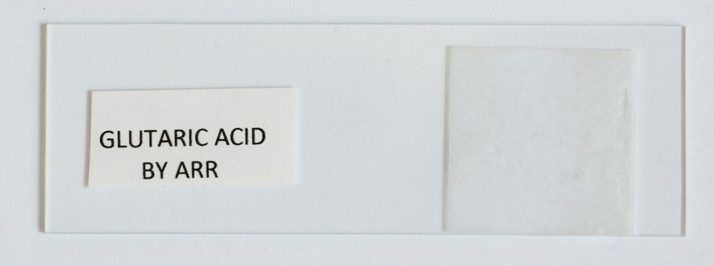 Microscope slide for polarization, GLUTARIC ACID (melt)