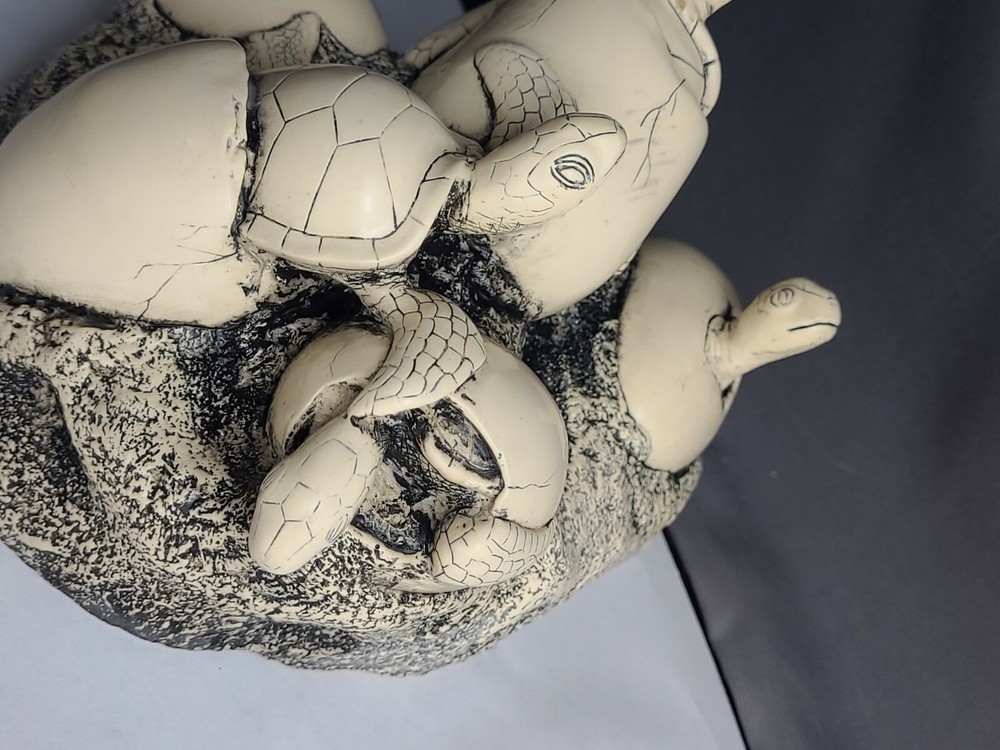 Cook Company Hatch Turtles