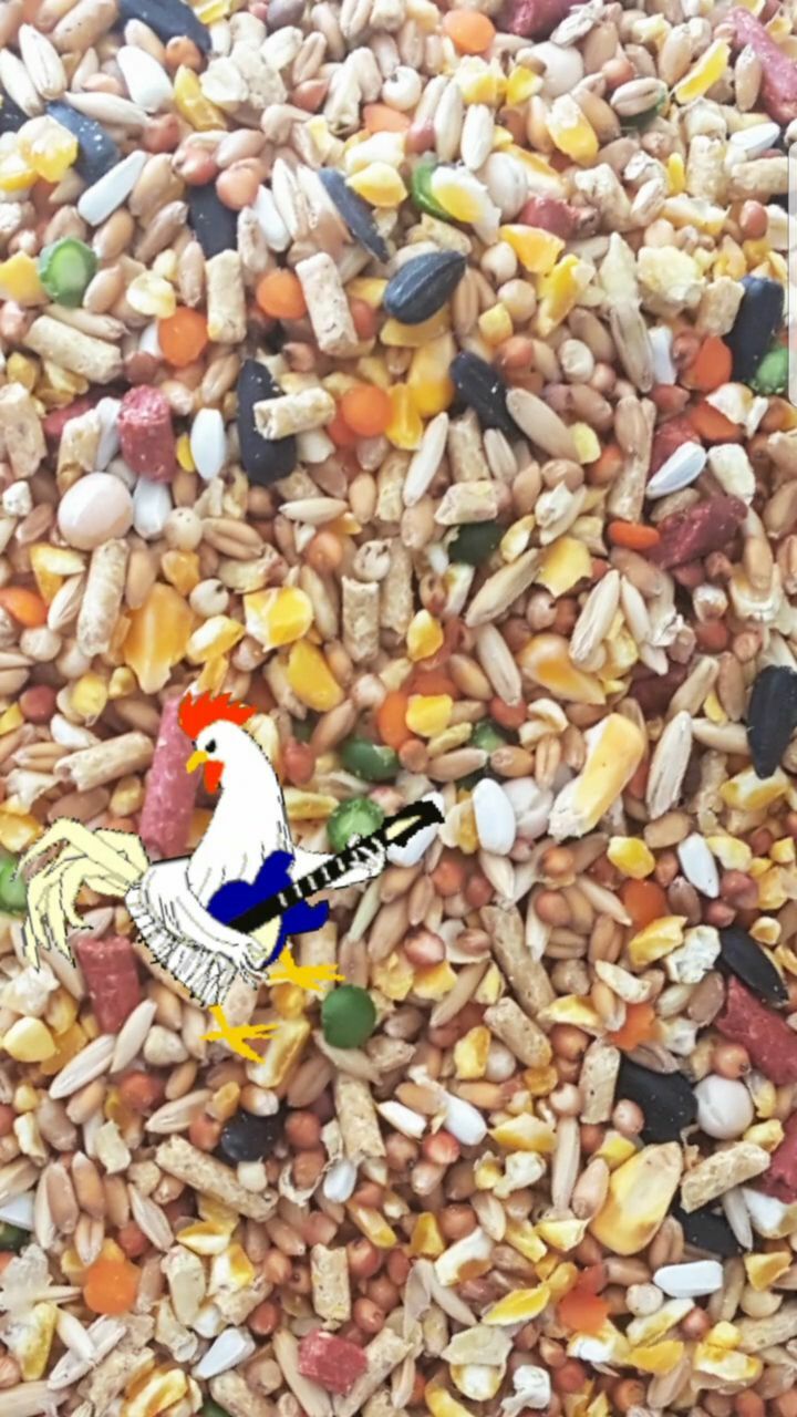 Chicken Game Bird Feed GRAIN Rooster SCRATCH W/HEALTHY OMEGAs **Choose size**