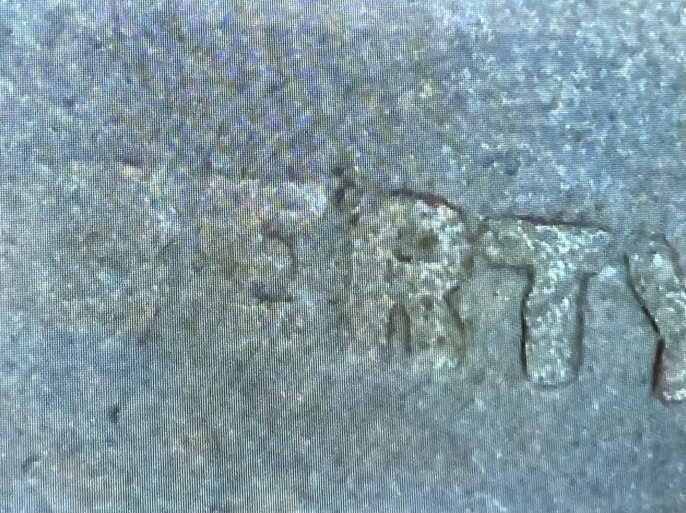 VG/F 1919 Lincoln Cent with errors (see description) #8425