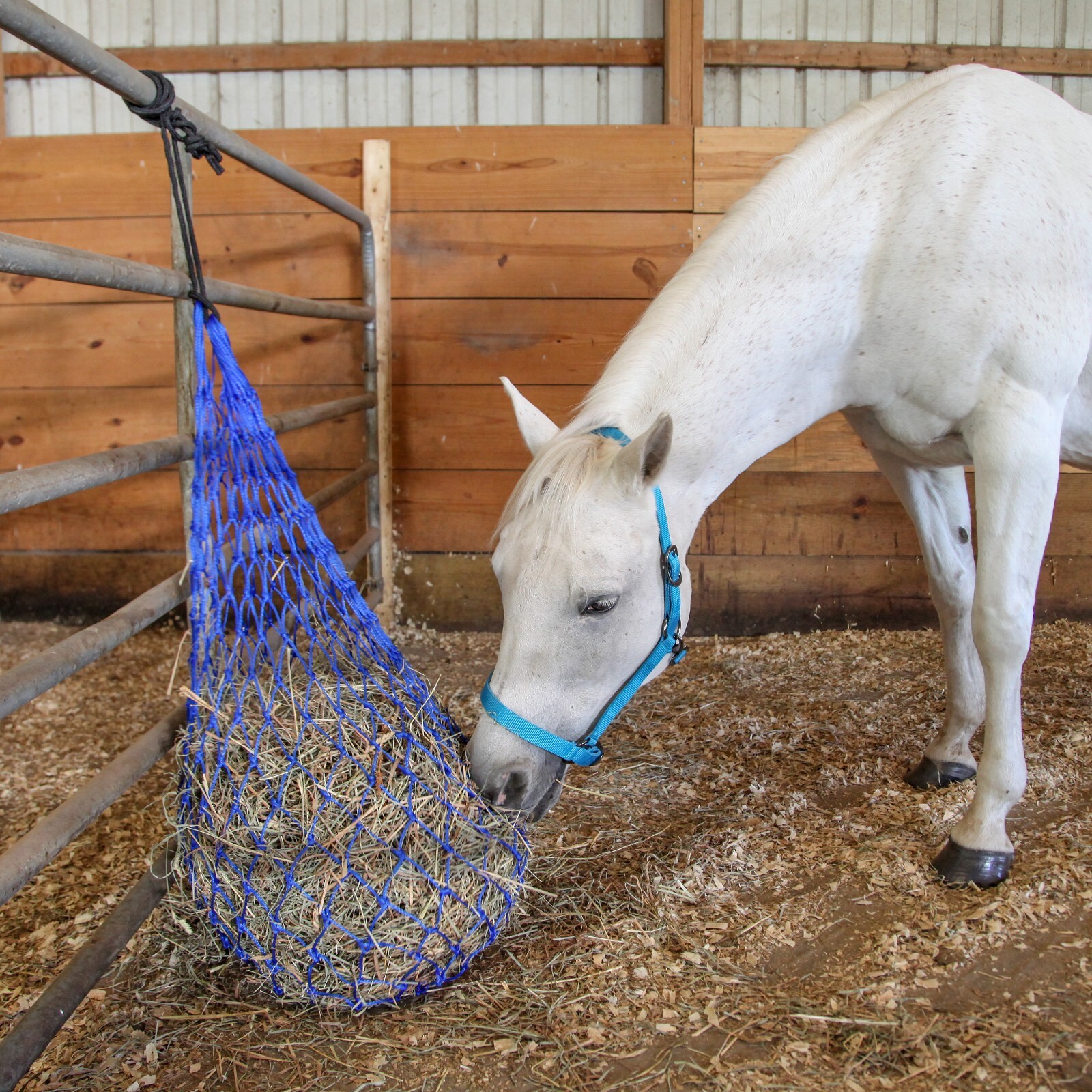 Majestic Ally 2 pcs Slow Feed 56” Hay Net with soft 3"x3" hole