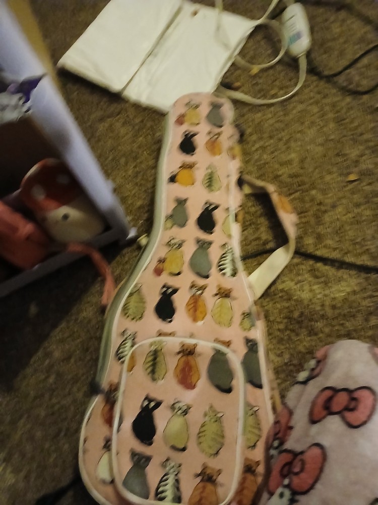 vendor venic suprano ukulele