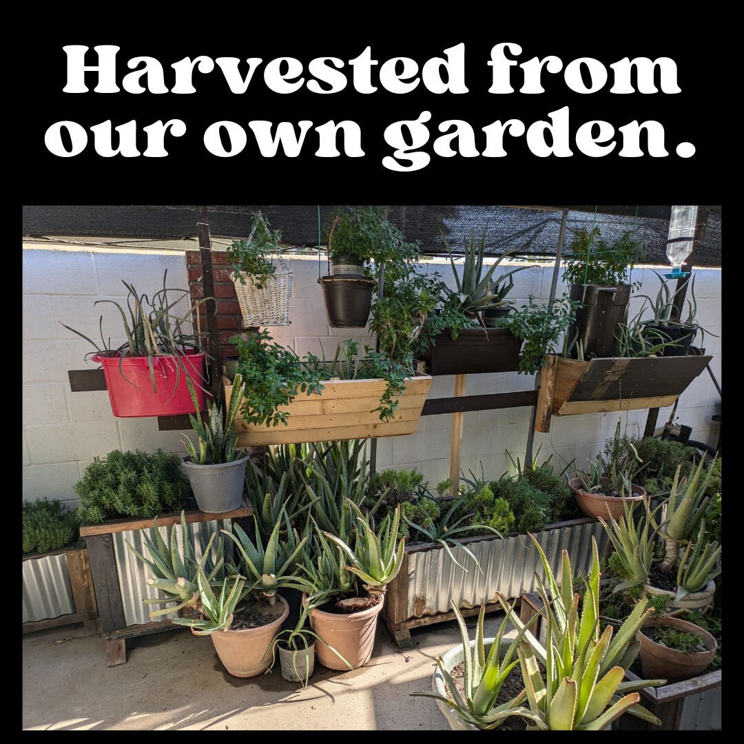 6 Handmade Tallow Soap Bars | Cold Process | Natural | Sensitive Skn | 6oz Each