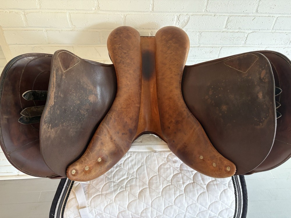 Antares jump saddle 17.5