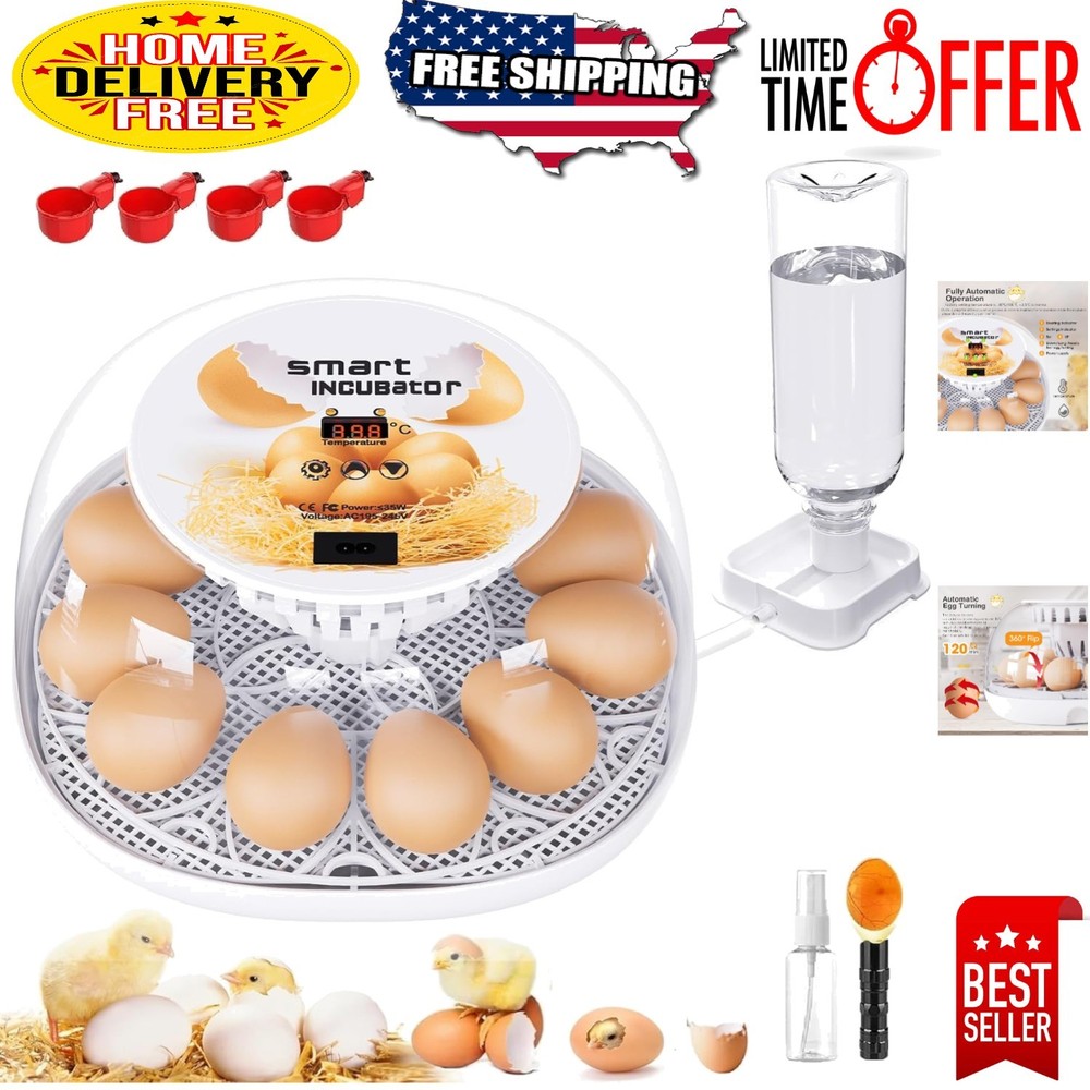 12-Egg Incubator for Chickens, Ducks, and Quails - Automatic Control