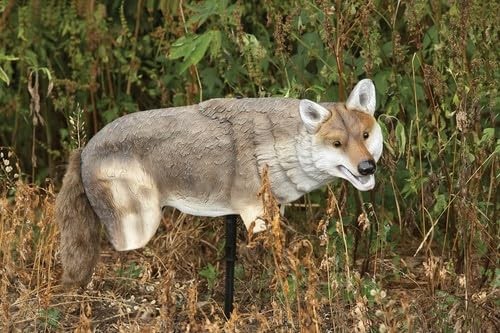 Yote Coyote Decoy