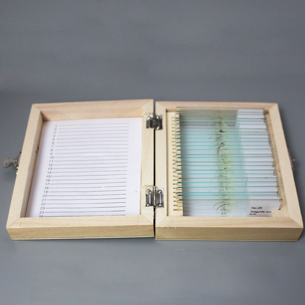 Glass Microscope Prepared Slides Set for Lab Biology Study 25PCS