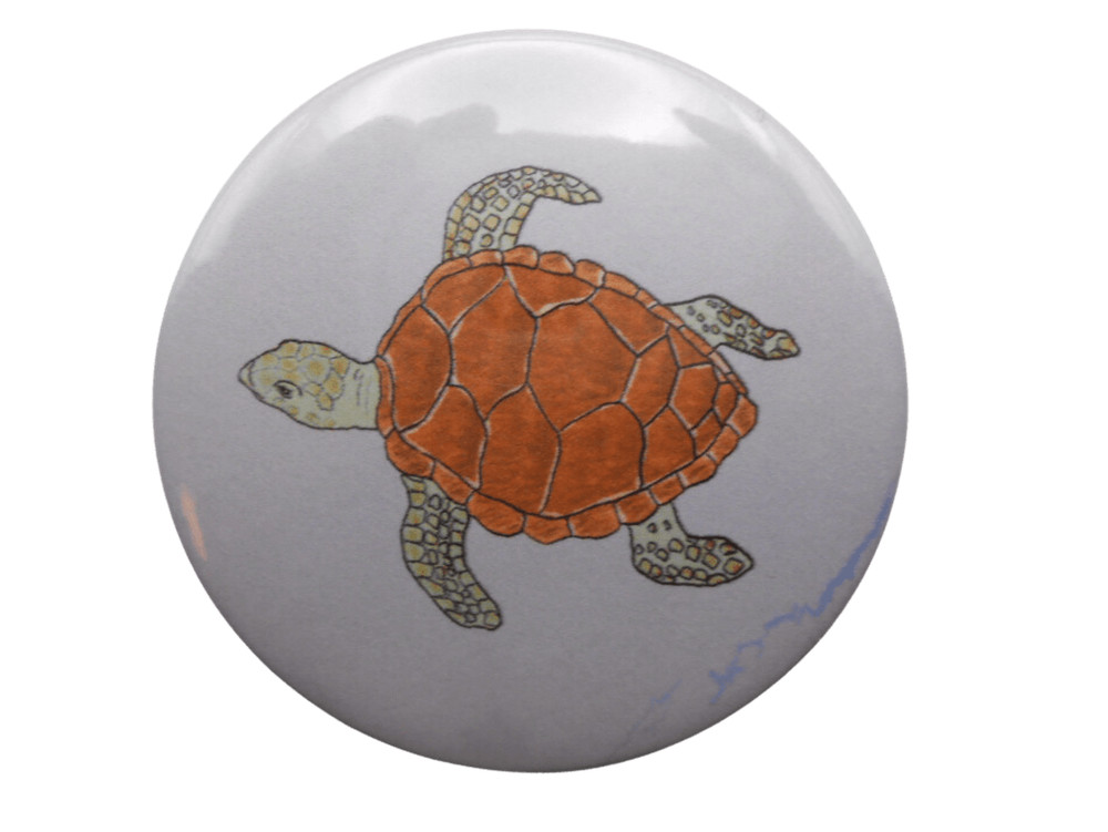Turtle[ 2.25 inch  ]