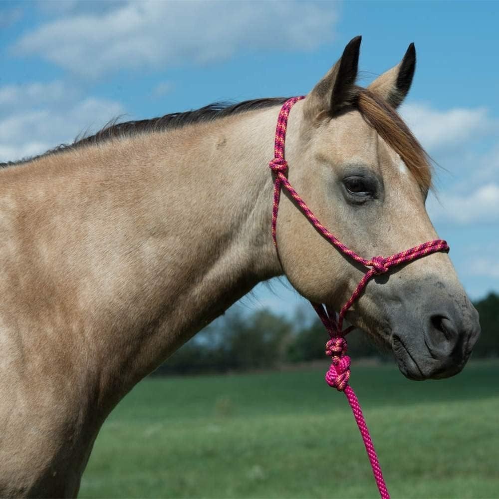 Diamond Braid Rope Halter and Lead