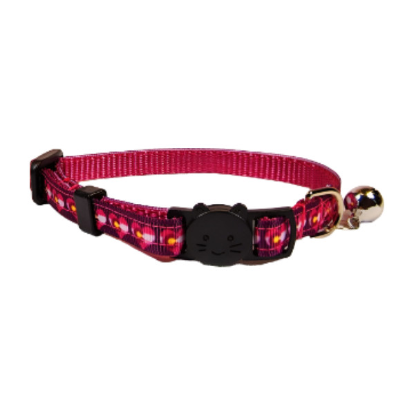 Colorado Cat Collar or Leash