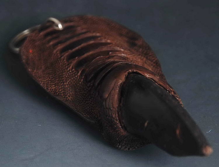 Artificial rearing Ostrich paw Chain