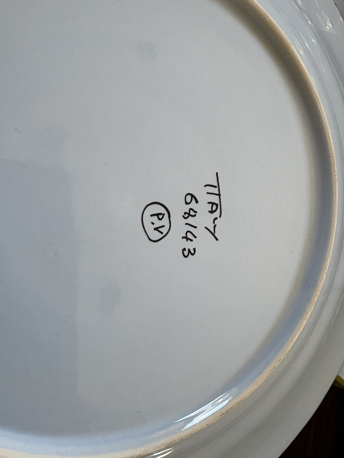 Set of 6 P.V. Italy Light Blue Floral Dinner Plates Hand Painted - 10.3"