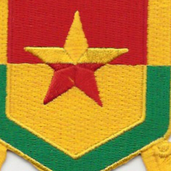 313rd Cavalry Regiment Patch