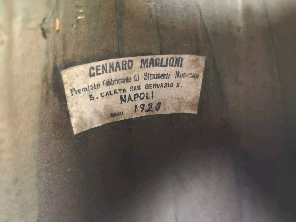 Mandolin 4/4 Gennaro Sweaters 1920 Naples 曼陀林 만돌린マンドリン